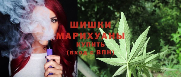 mdpv Новозыбков