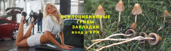 mdpv Новозыбков