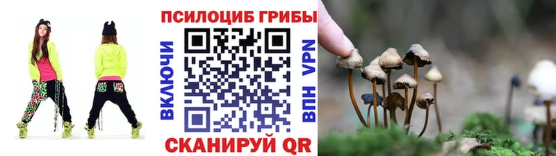 дарнет шоп  Ряжск  Псилоцибиновые грибы Cubensis 